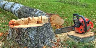 Best Stump Grinding and Removal  in Crewe, VA