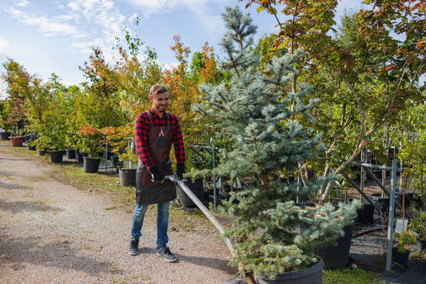 Best Seasonal Cleanup (Spring/Fall)  in Crewe, VA