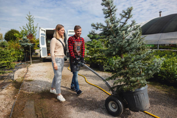 Best Tree Risk Assessment  in Crewe, VA